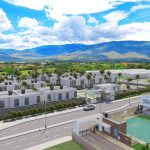 VyV-Zakura gold-casas-00